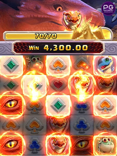 ฟีเจอร์ Fire Dragon